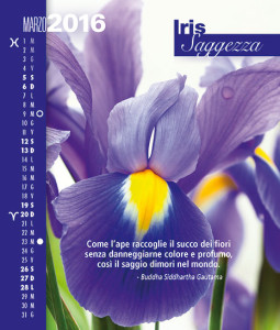 Calendario FioriEssenzeParole 2016 Marzo